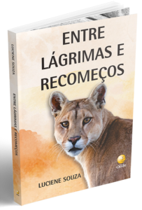 entre lagrimas e recomecos
